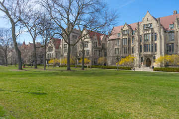 The green campus of The University of Chicago in Chicago, Illinois