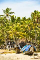 Stunning view of a beach with a wooden boat in front of a fishing village surrounded by beautiful palm trees. Varkala, Kerala, India.