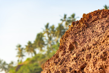 (Selective focus, focus on the foreground) Stunning view of a rock formations with a blurred green palm trees in the background during sunset. Varkala, Kerala, India.