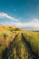 The Bonneville Shoreline Trail, in Salt Lake City, Utah