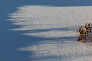 background image-white snow and small Islands of old reeds under drifts of white snow