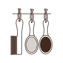 set of hairbrush combs and hairbrushes on white background