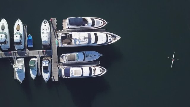 Motorboats parked in Sydney's Harbour