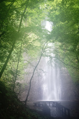 霞む森の中の滝