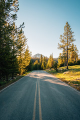 Spring Canyon Road, in Uinta-Wasatch-Cache National Forest, Utah