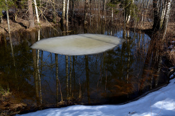 early spring last ice and water flood in pond