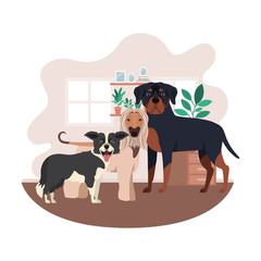 cute and adorable dogs in living room