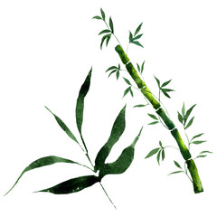 Bamboo green leaves and stalks. Watercolor background illustration set. Isolated bamboo illustration element.