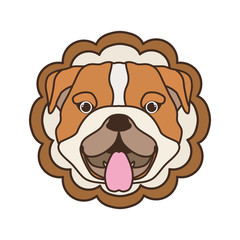 card cute and lovely of dog