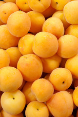 A bunch of fresh apricot in a market