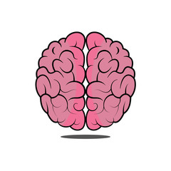 Human brain. Top view. Flat style. Isolated. On white background. 