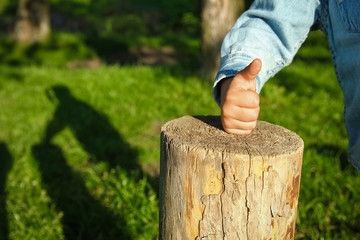 children's hands hold a stump in the park in nature