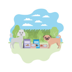 dogs with bowl and pet food on landscape