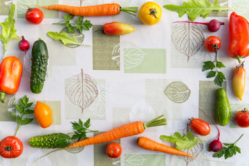 Frame of fresh colorful organic vegetables on worktop, copy space