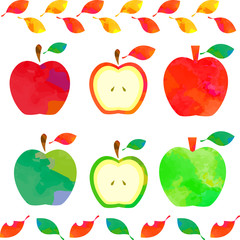 リンゴ　水彩風　セット