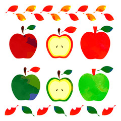 リンゴ　水彩風　セット