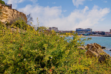 Город у моря. Актау