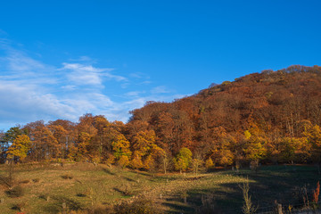 Blick in s hebstlich verf&auml;rbte Siebengebirge bei K&ouml;nigswinter/Deutschland