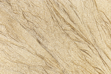 Sand texture. Natural sand on beach.