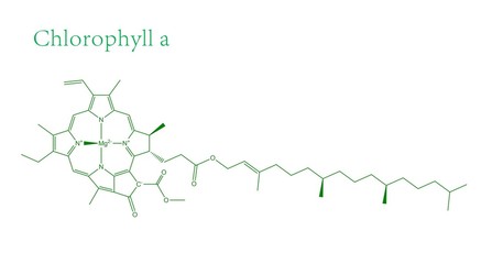 Molecular structure of Chlorophyll A - obrazy, fototapety, plakaty