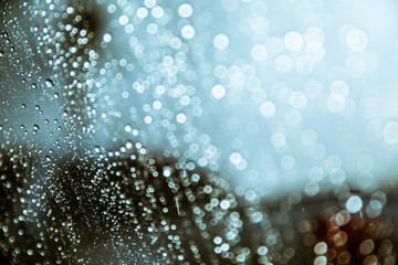 Natural water drops on glass