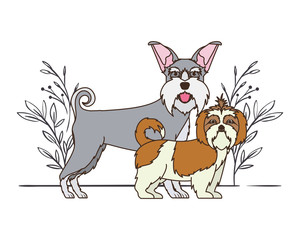 cute and adorable dogs on white background