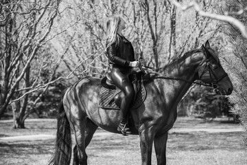 Hobby concept, woman with a horse on a horse farm. Human and animals friendship 