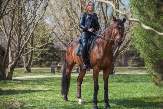 Hobby concept, woman with a horse on a horse farm. Human and animals friendship 