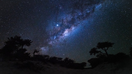 Night sky with Milkyway galaxy over tree silhouettes, as seen from Madagascar coast