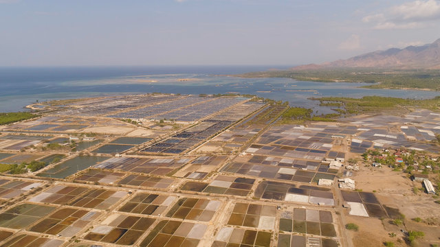 shrimp farm, prawn farming with with aerator pump oxygenation water near ocean. aerial view fish farm with ponds growing fish and shrimp and other seafood. Fish hatchery pond aerial view aquaculture
