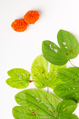 Happy Dussehra greeting card , green leaf and rice