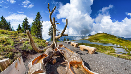 Fototapete bei efototapeten.de bestellen   