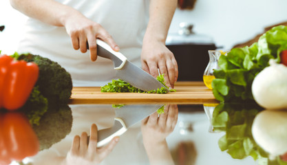 Closeup of human hands cooking in kitchen. Mother and daughter or two female friends cutting vegetables for fresh salad. Friendship, family dinner and lifestyle concepts