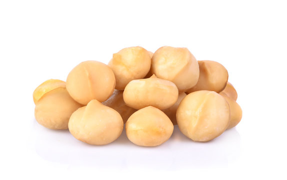 Salted Macadamia Nuts Isolated On White Background.