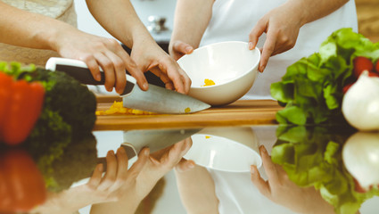 Closeup of human hands cooking in kitchen. Mother and daughter or two female friends cutting vegetables for fresh salad. Friendship, family dinner and lifestyle concepts