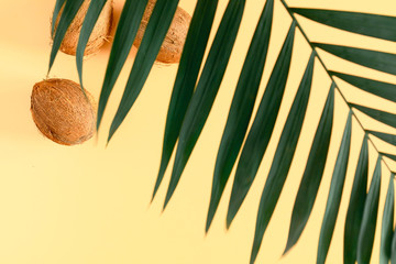 Summer modern composition. Tropical palm leaves, coconut on pastel yellow background. Travel concept. Flat lay, top view, copy space, selective focus