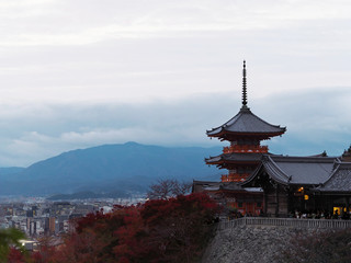 Obraz premium Kiyomizu-dera Temple and red leaves autumn in the evening Kyoto, Japan.