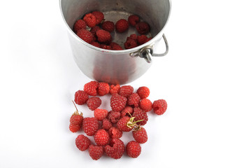 Himbeeren mit Blecheimer auf weiss