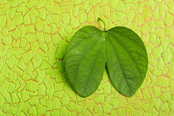 Happy Dussehra greeting card , green leaf and rice