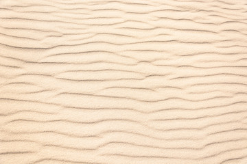 Obraz premium sand dunes background sand waves