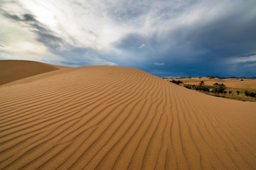 Fototapeta na wymiar Storm clouds over sand dunes in the desert