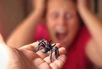 Spider in a hand, Arachnophobia - obrazy, fototapety, plakaty
