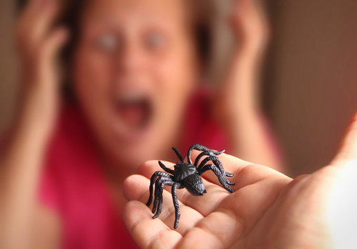 Spider in a hand, Arachnophobia