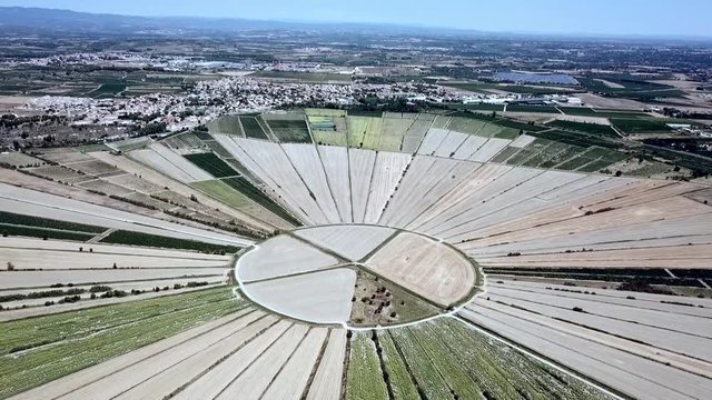Aerial view of the circular fields of the drained lake of Montady, France, Europe.
