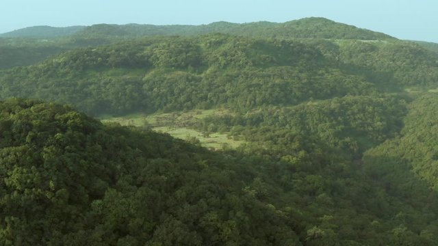 Aerial View of Forest in Western Ghats of Indian forest
