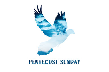 Christian worship and praise. Cloudy sky with dove and empty space. Text: PENTECOST SUNDAY