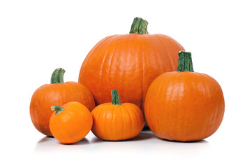 Obraz premium Pumpkins