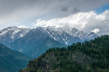 Fototapeta na wymiar Beautiful View of Himalayas mountains and deodar tree
