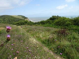 Blick vom East Hill auf die Küste