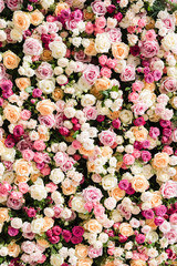 Beautiful floral wall with pink and white roses.